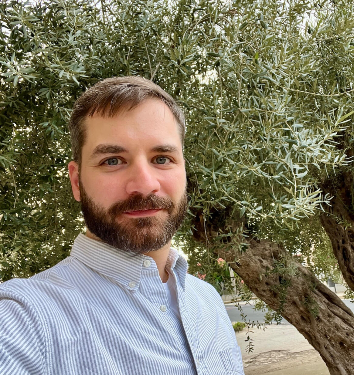 Roma Bearded man (Roma) stands infant of an olive tree and is looking to the camera.